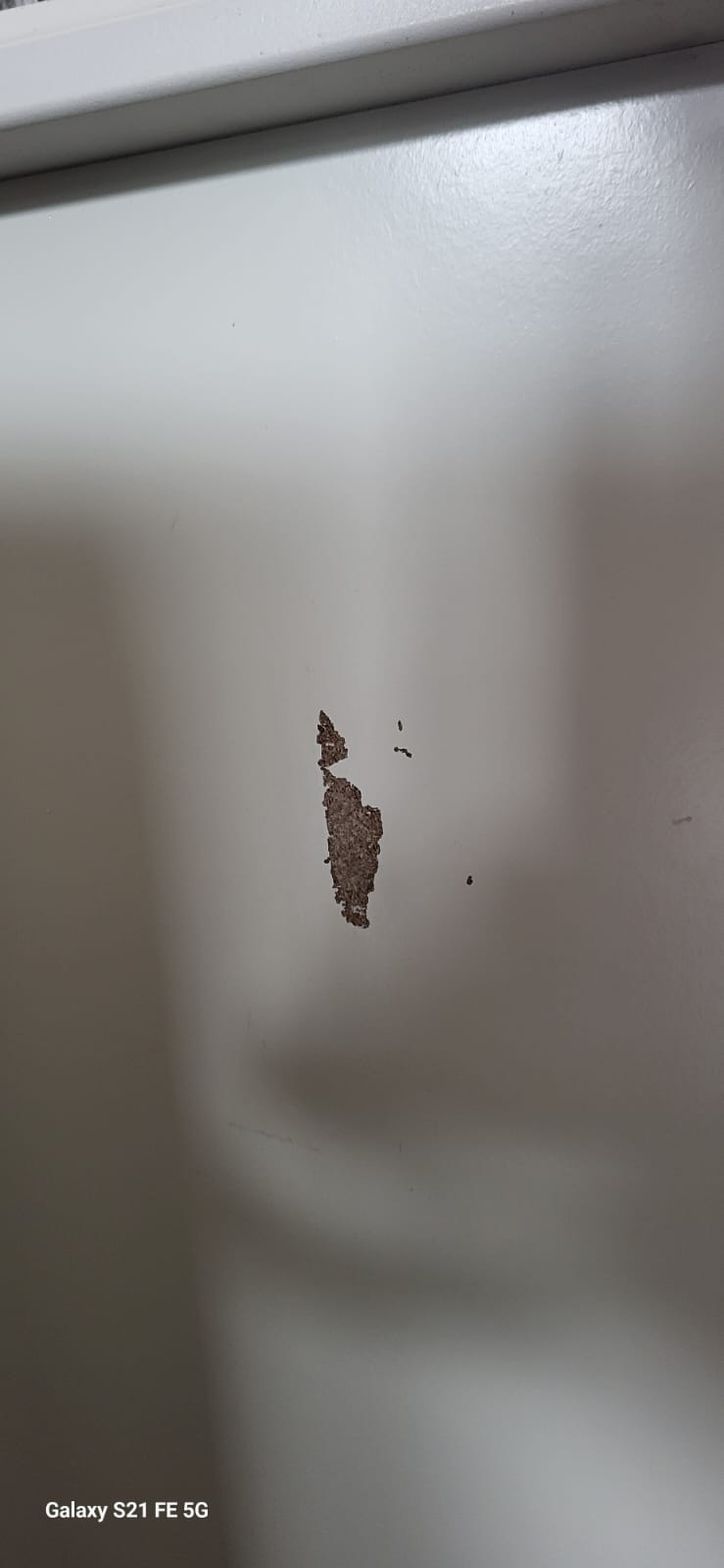 Houten Deur laten Herstellen Utrecht